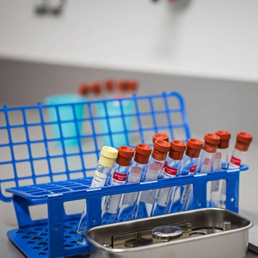  html    head  title 500 Internal Server Error  title   head    body    center  h1 500 Internal Server Error  h1   center    hr  center nginx 1.29.3  center     body     html 